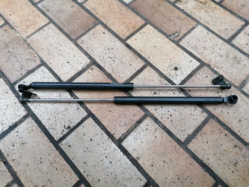 Org tailgate damper - tailgate,