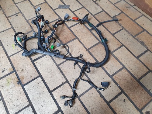Engine wiring harness engine