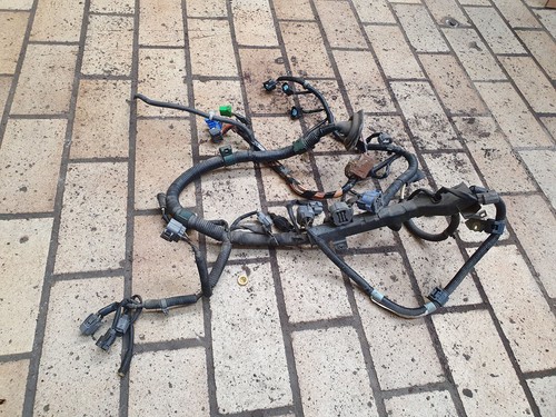 Engine wiring harness engine